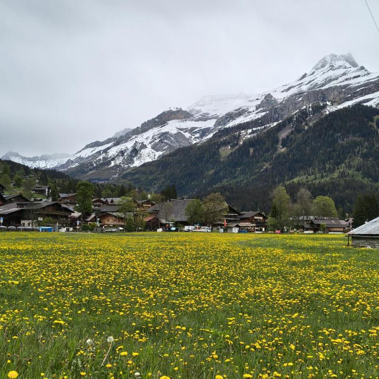 El Balcón des Diablerets - Apartment mit 1 Schlafzimmer - 37