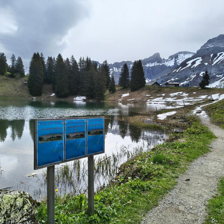 El Balcón des Diablerets - Apartment mit 1 Schlafzimmer - 41