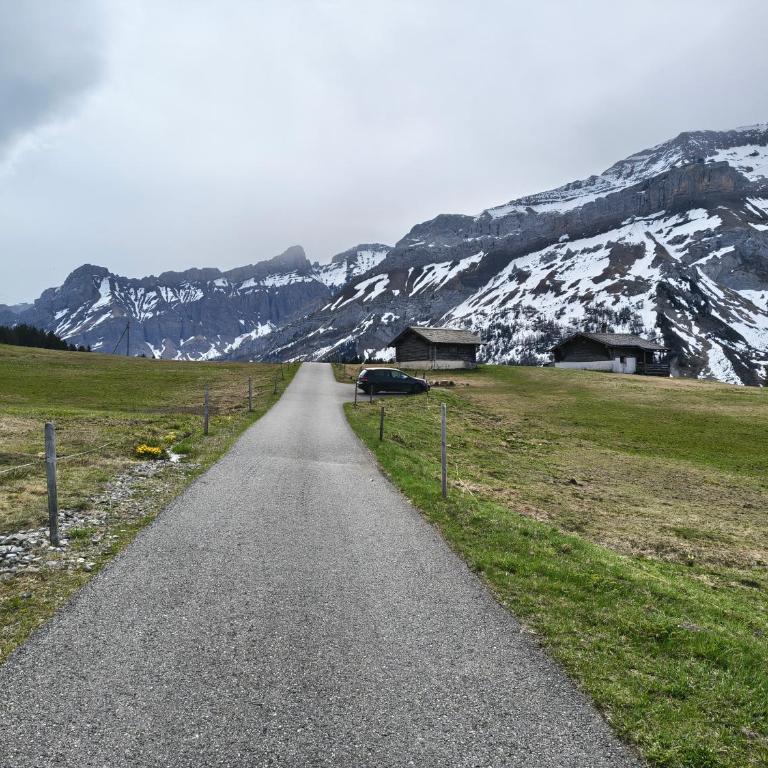 El Balcón des Diablerets - Apartment mit 1 Schlafzimmer - 43
