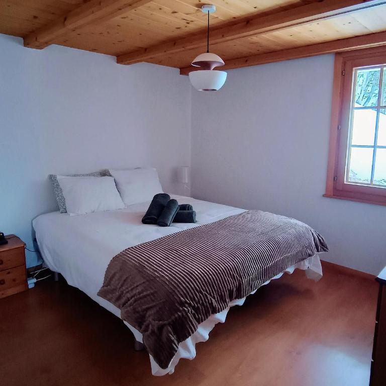 El Balcón des Diablerets - Apartment mit 1 Schlafzimmer - 44