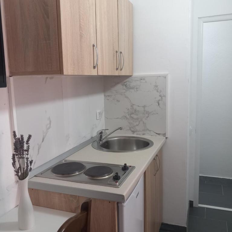 Vila Nina Donji Štoj - Porodični Studio - 5