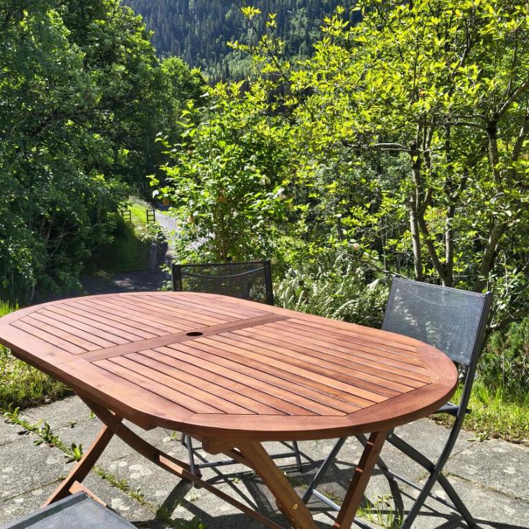 El Balcón des Diablerets - Apartment mit 1 Schlafzimmer - 48