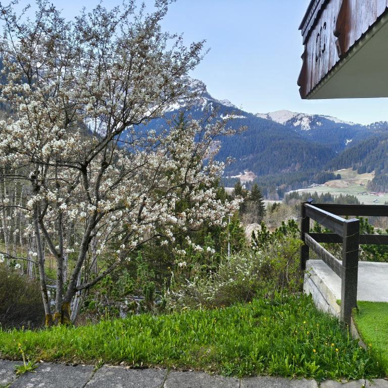 El Balcón des Diablerets - Apartment mit 1 Schlafzimmer - 46