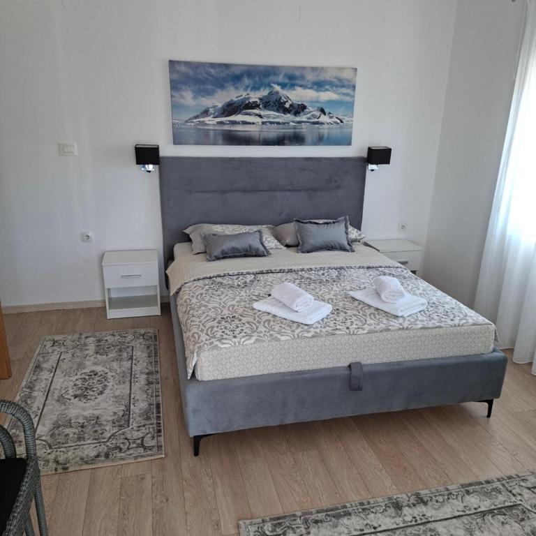 Apartmani Koprivica - Apartman s 1 Spavaćom Sobom i Balkonom - 6
