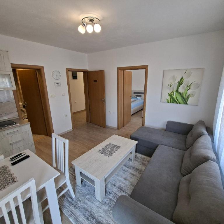 Apartmani Koprivica - Apartman s 1 Spavaćom Sobom i Balkonom - 7