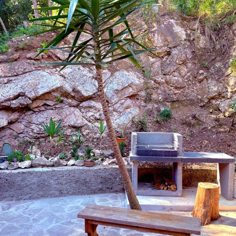 Appartamento elba da Susanna - Appartamento con 1 Camera da Letto - 8
