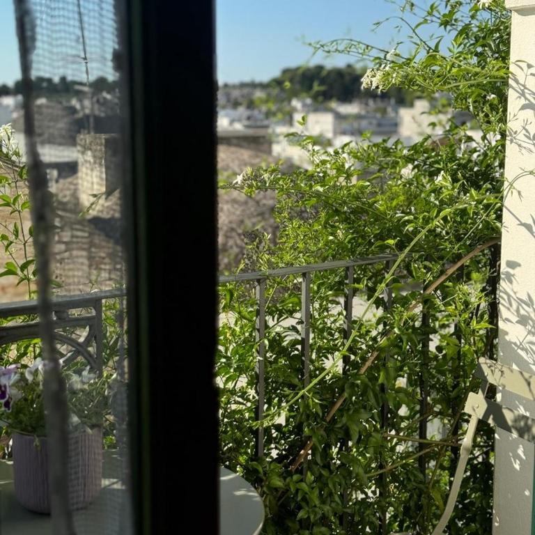 Dimora Violetta - Appartamento con Balcone - 4