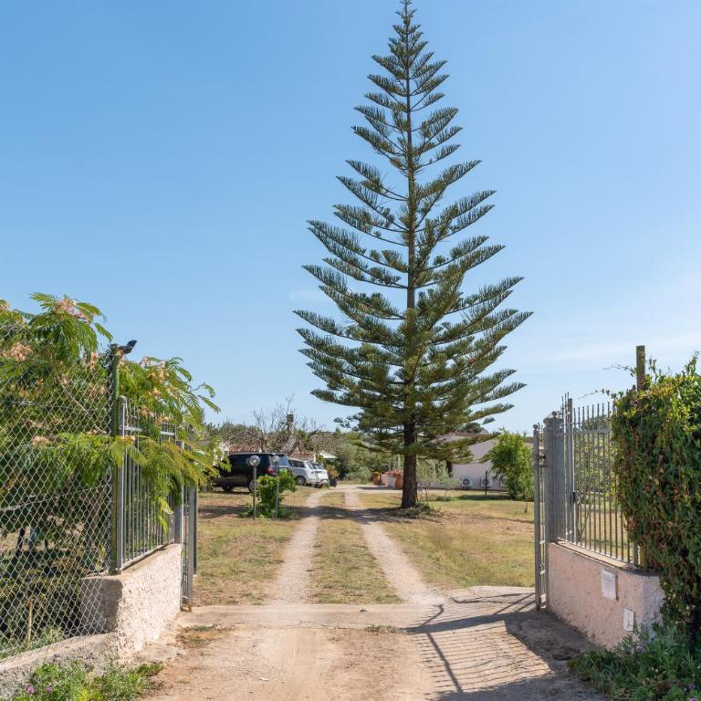 MIQUEL FORT - CASINA DI CAMPAGNA - Two-Bedroom House - 1