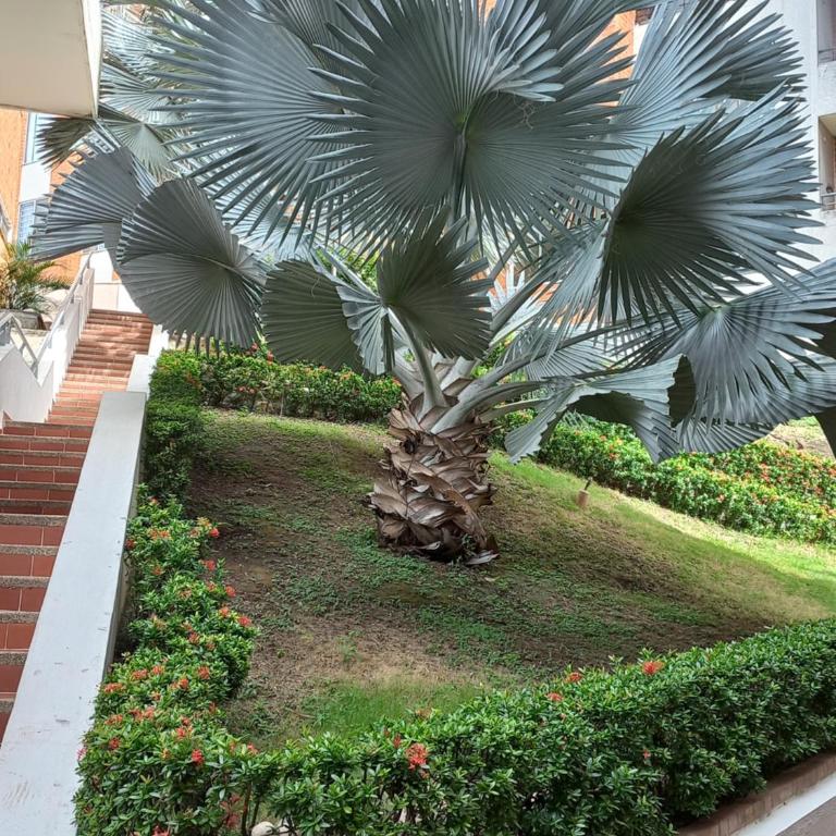 Reserva del Peñón Girardot - Apartamento Vacacional Familiar Confort La Esmeralda - Apartamento de 2 dormitorios - 61