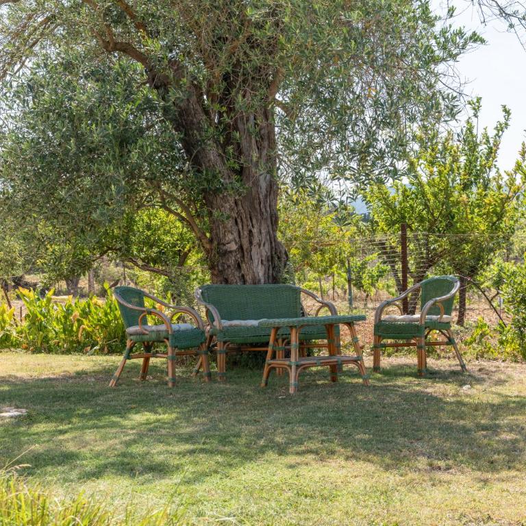 MIQUEL FORT - CASINA DI CAMPAGNA - Two-Bedroom House - 11