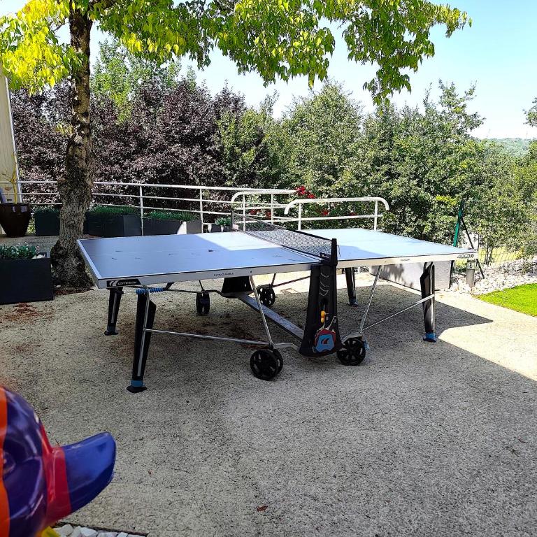 La Villa d Elsa 10-12 pers - piscine chauffée - CLIM - 500m du centre ville - Villa - 66