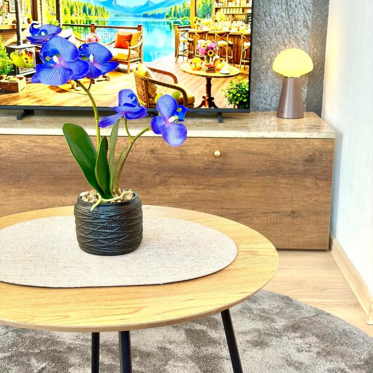 Obsidian Residence Sarajevo-Modern Apartment near Airport with free parking - King Studio with Sofa Bed - 17