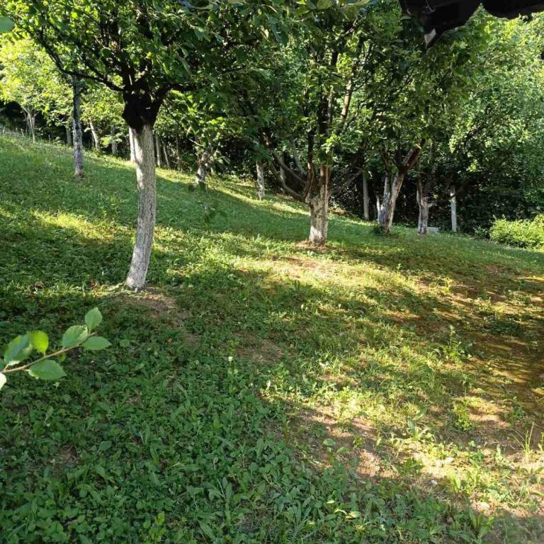 Villa Balic Sarajevo - Standardna Vila - 49
