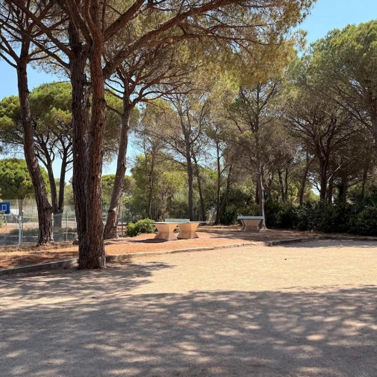 F1 climatisé avec piscine - Apartment mit 2 Schlafzimmern - 7