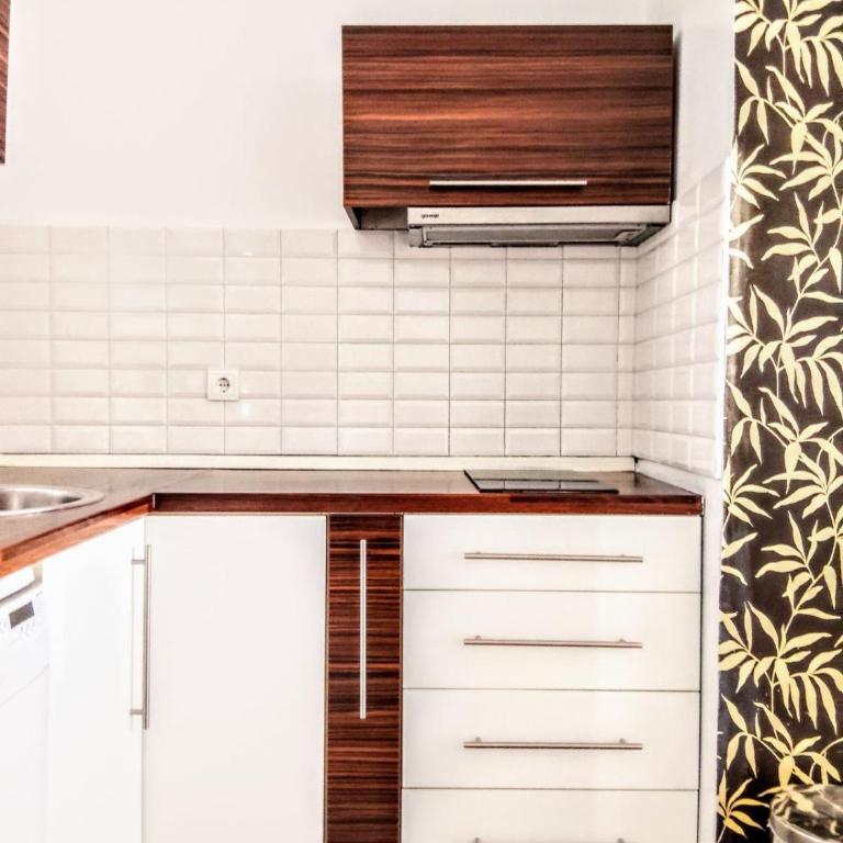 Stylish Apartment - Superior Apartman sa 1 Spavaćom Sobom i Balkonom - 11