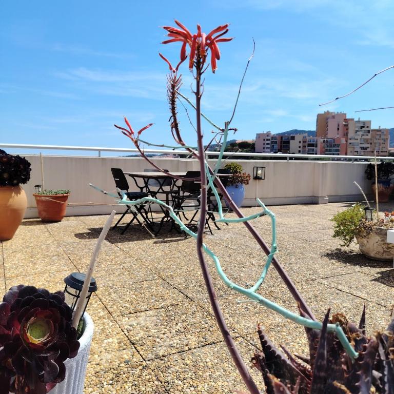 Le Rooftop Des Elmes T2 vue mer - Appartement 1 Chambre - 19