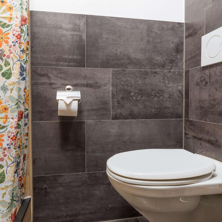Studio near Mount Pilatus in Lucerne with Balcony - Studio - 7