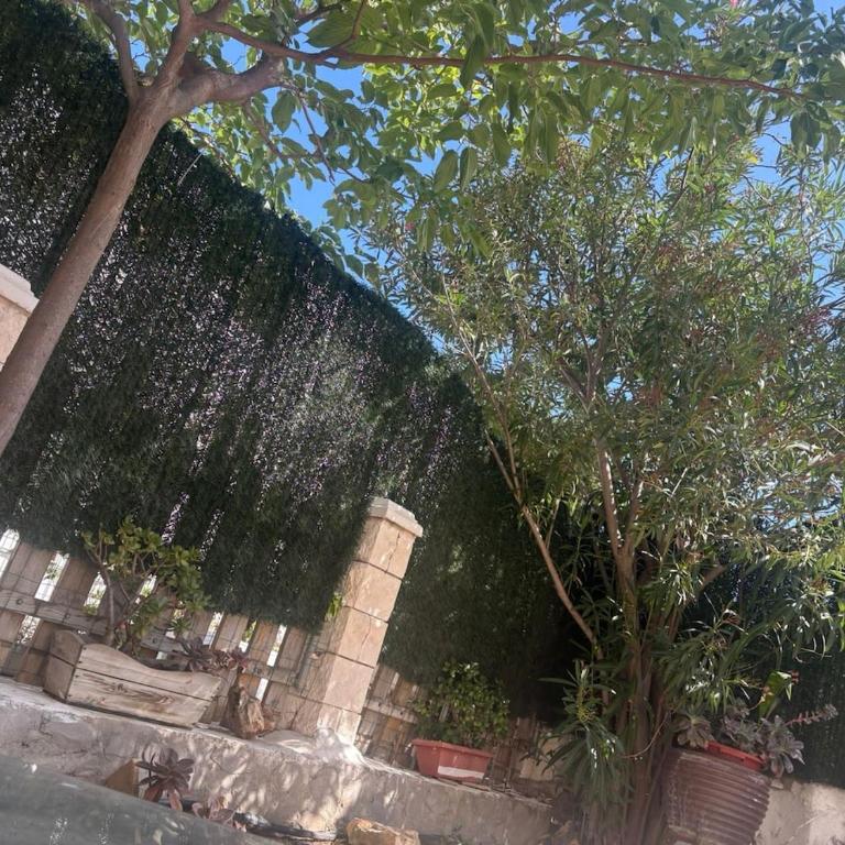 Apartment in Las Fuentes with a pool and Wi-Fi - Two-Bedroom Apartment - 27