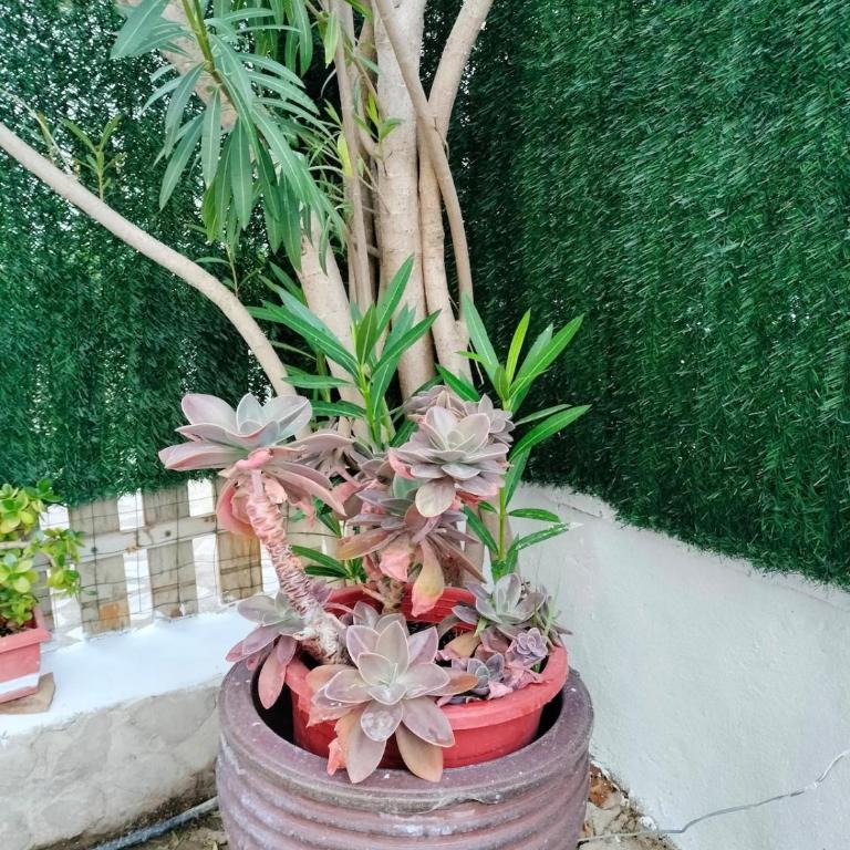 Apartment in Las Fuentes with a pool and Wi-Fi - Two-Bedroom Apartment - 41
