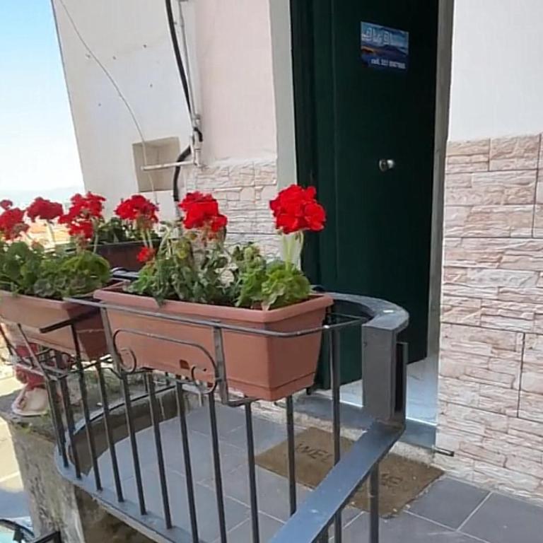 Finestra Vesuvio - Appartamento con 1 Camera da Letto - 5