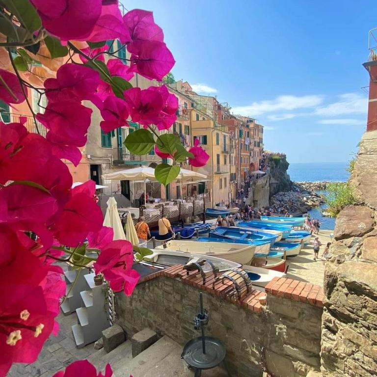 Blue Grotto of Riomaggiore - Apartamento de 1 dormitorio - 3