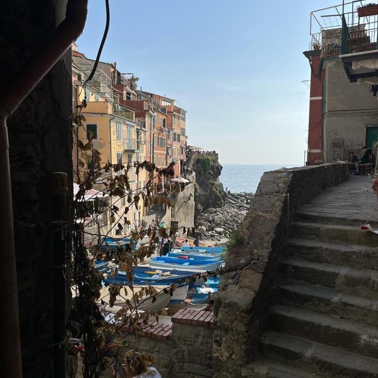 Blue Grotto of Riomaggiore - Apartamento de 1 dormitorio - 4