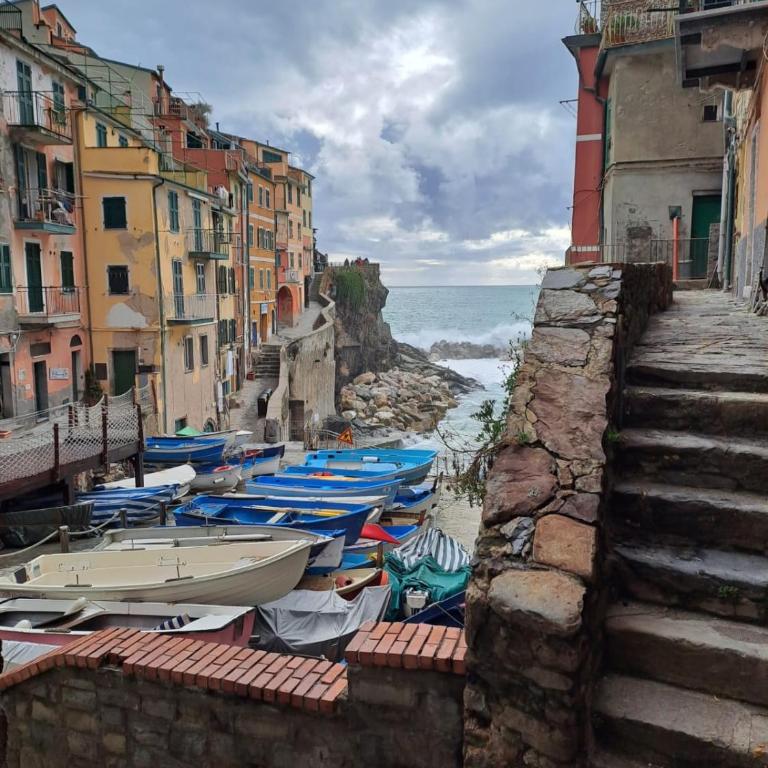 Blue Grotto of Riomaggiore - Apartamento de 1 dormitorio - 22