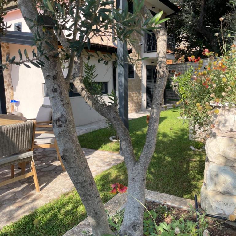 Villa Dream - Villa - 66