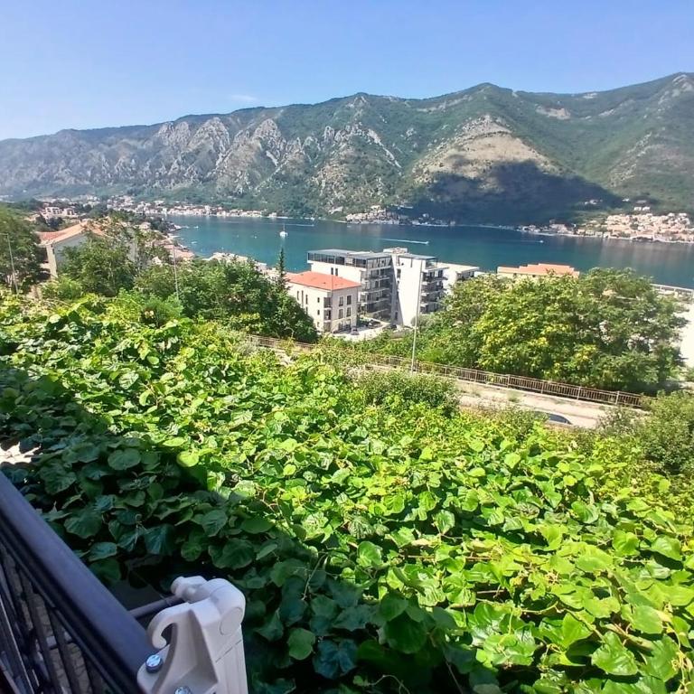 Apartment Danilo - Appartement 2 Chambres avec Terrasse et Vue sur la Mer - 12