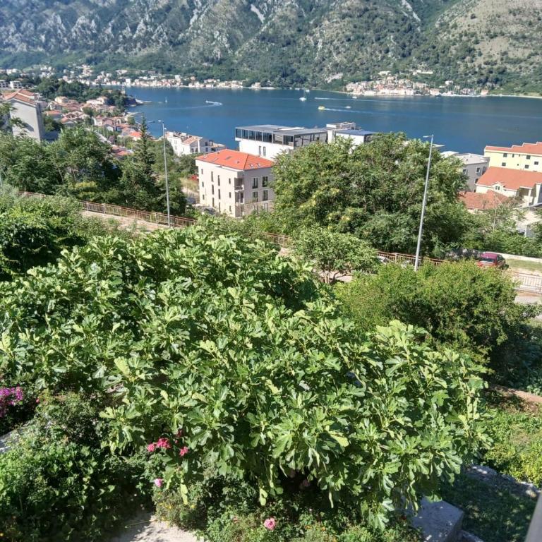 Apartment Milos - Apartment mit 2 Schlafzimmern, Terrasse und Meerblick - 6