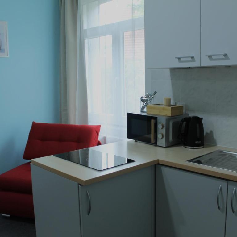 Royal Racing Suite Top 3 near Red Bull Ring - Apartment mit 1 Schlafzimmer - 9