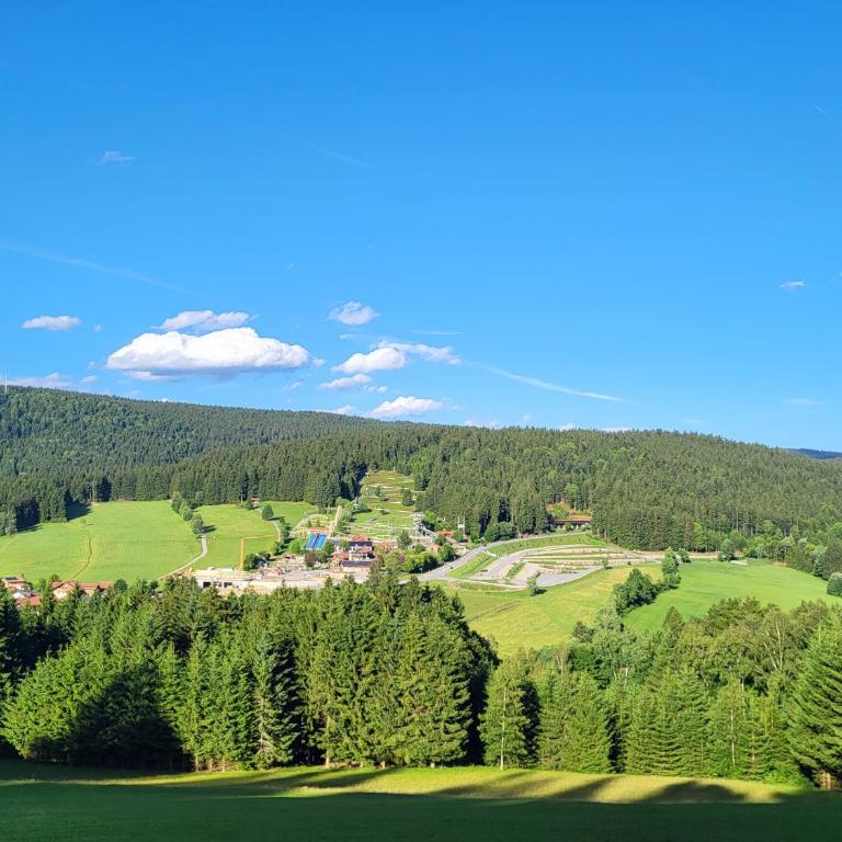 Bergzauber Bayerwald - voll ausgestattetes Familienapartment mit Pool - Apartment mit 1 Schlafzimmer - 33