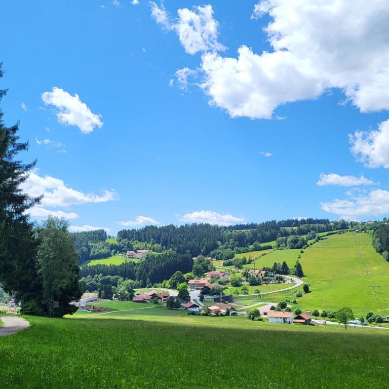 Bergzauber Bayerwald - voll ausgestattetes Familienapartment mit Pool - Apartment mit 1 Schlafzimmer - 35