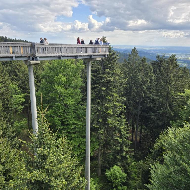 Bergzauber Bayerwald - voll ausgestattetes Familienapartment mit Pool - Apartment mit 1 Schlafzimmer - 60