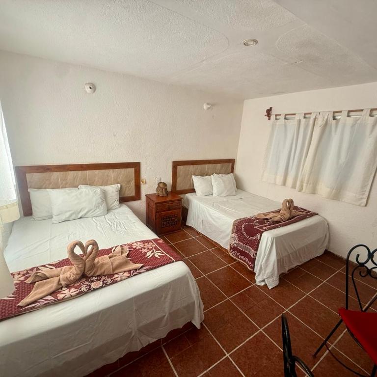 Hotel PLAYA ZAMA' - Deluxe Studio mit Doppelbett - 16