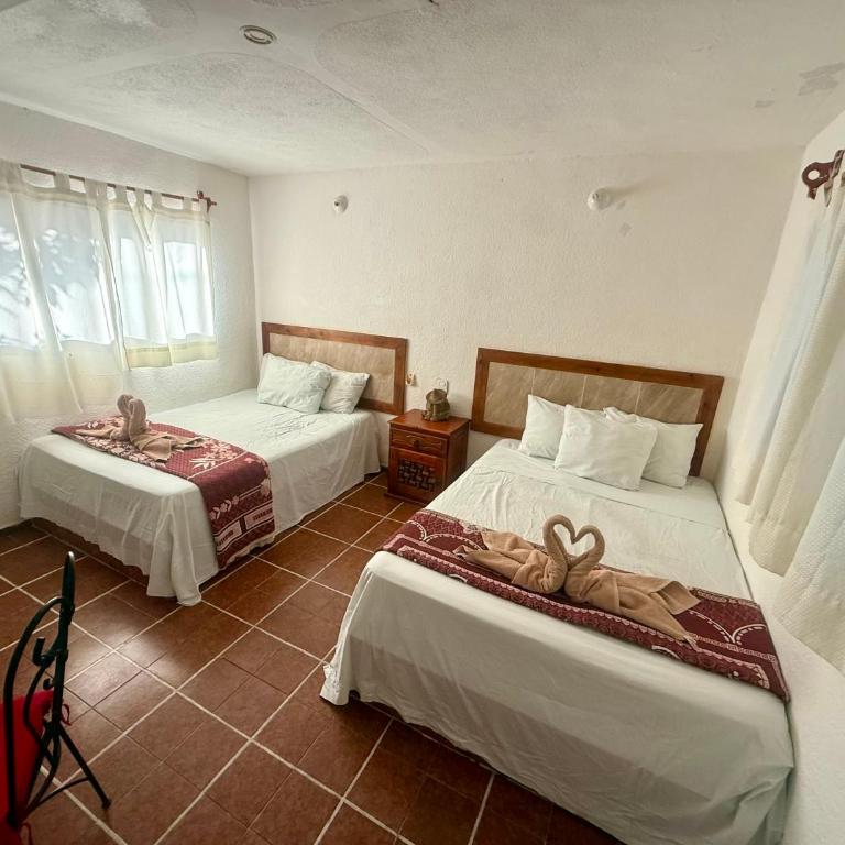 Hotel PLAYA ZAMA' - Deluxe Studio mit Doppelbett - 19