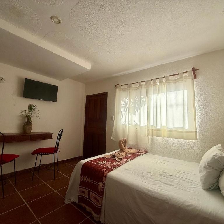 Hotel PLAYA ZAMA' - Deluxe Studio mit Doppelbett - 12