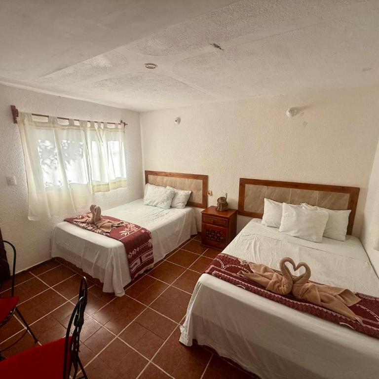 Hotel PLAYA ZAMA' - Deluxe Studio mit Doppelbett - 22