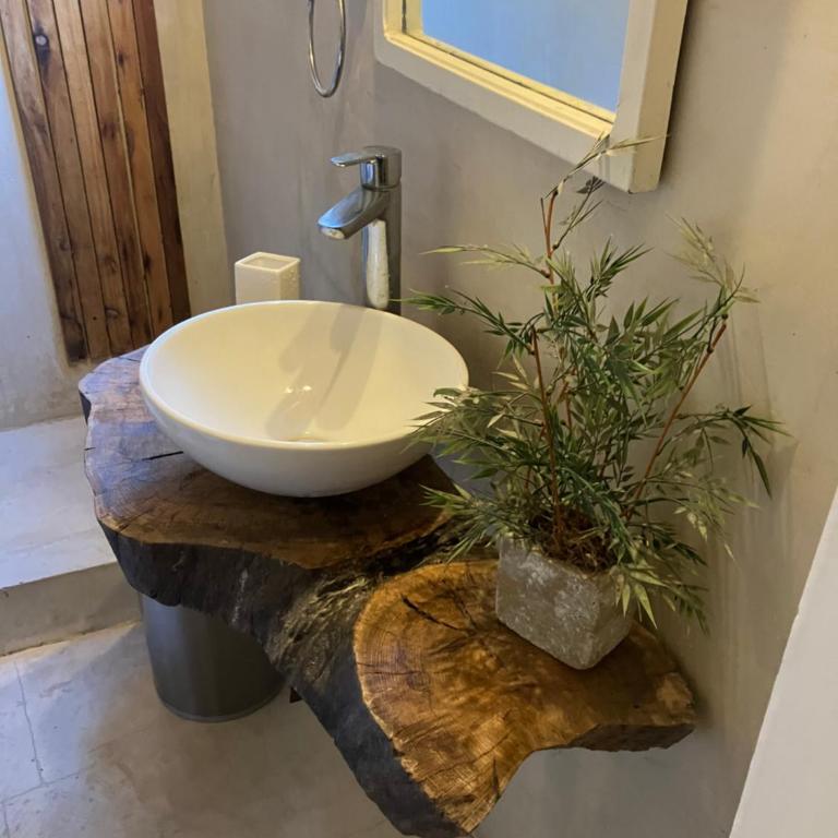 Sabores de mi Tierra - Apartamento de 1 dormitorio - 18