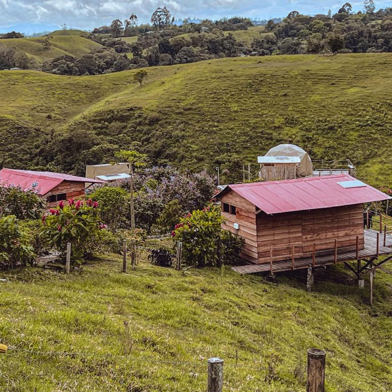La Alborada Glamping - Bungalow Superior - 6