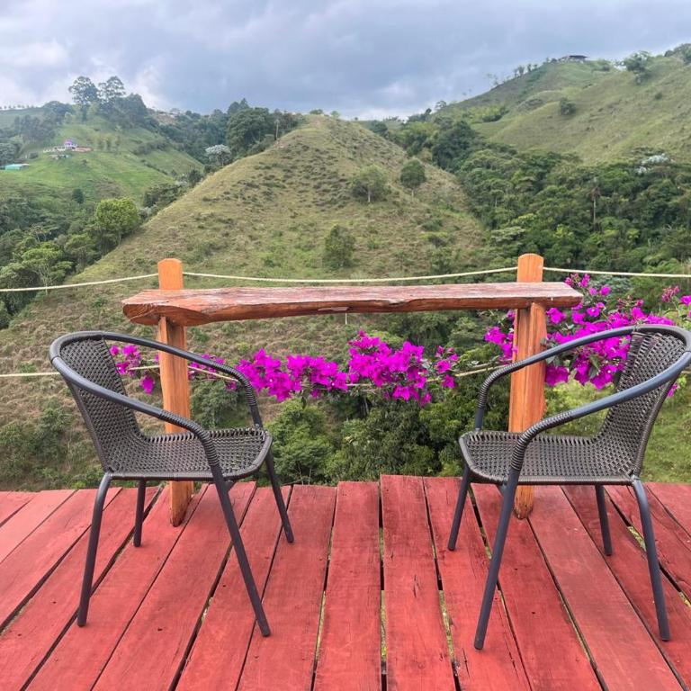 La Alborada Glamping - Bungalow Estándar - 10