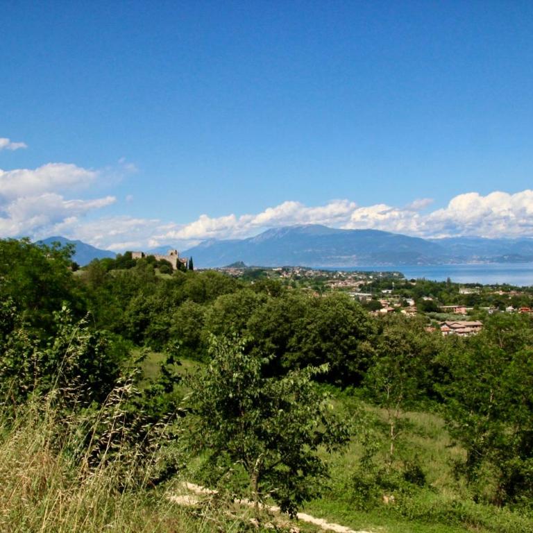 Grisot - Superior Studio - 25