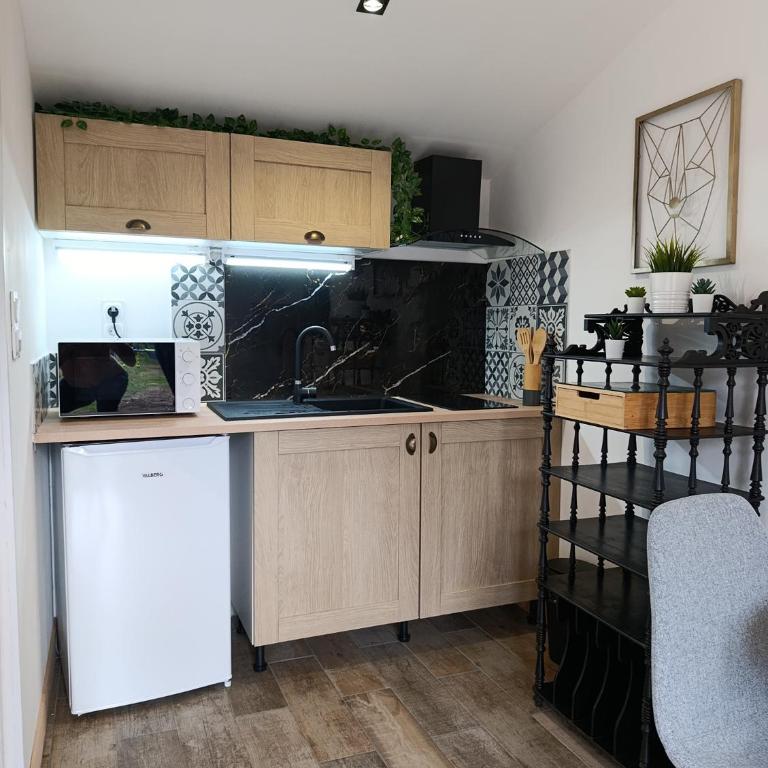 Dax Jardin Studio - Appartement 1 Chambre - 7