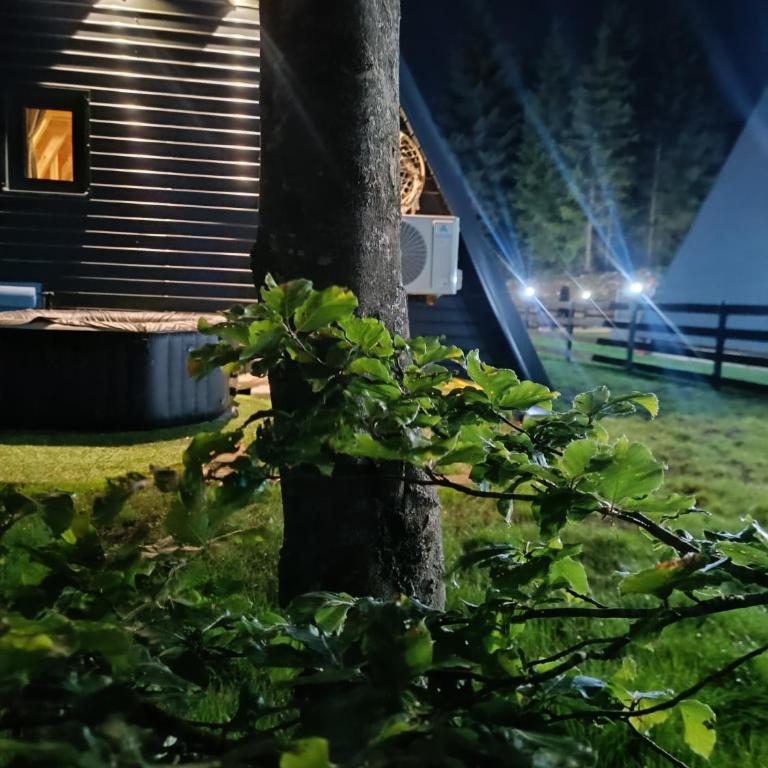 The Pine Nook Durmitor Žabljak - Kuća sa 2 Spavaće Sobe - 9
