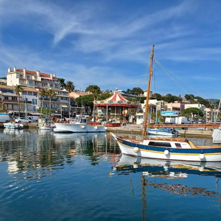 Flat with terrace in Sanary-sur-Mer - Studio - 10