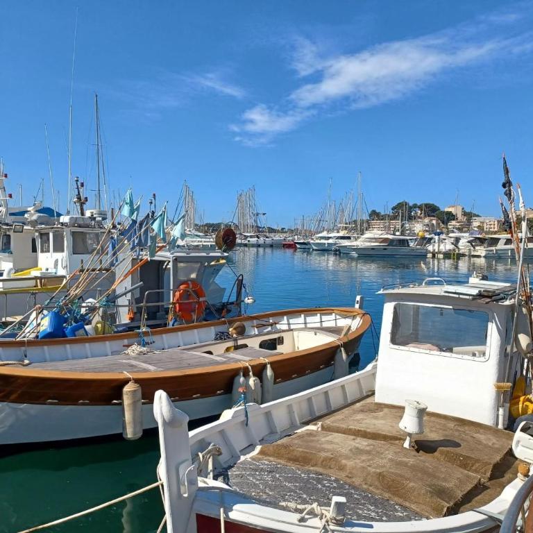 Flat with terrace in Sanary-sur-Mer - Studio - 13