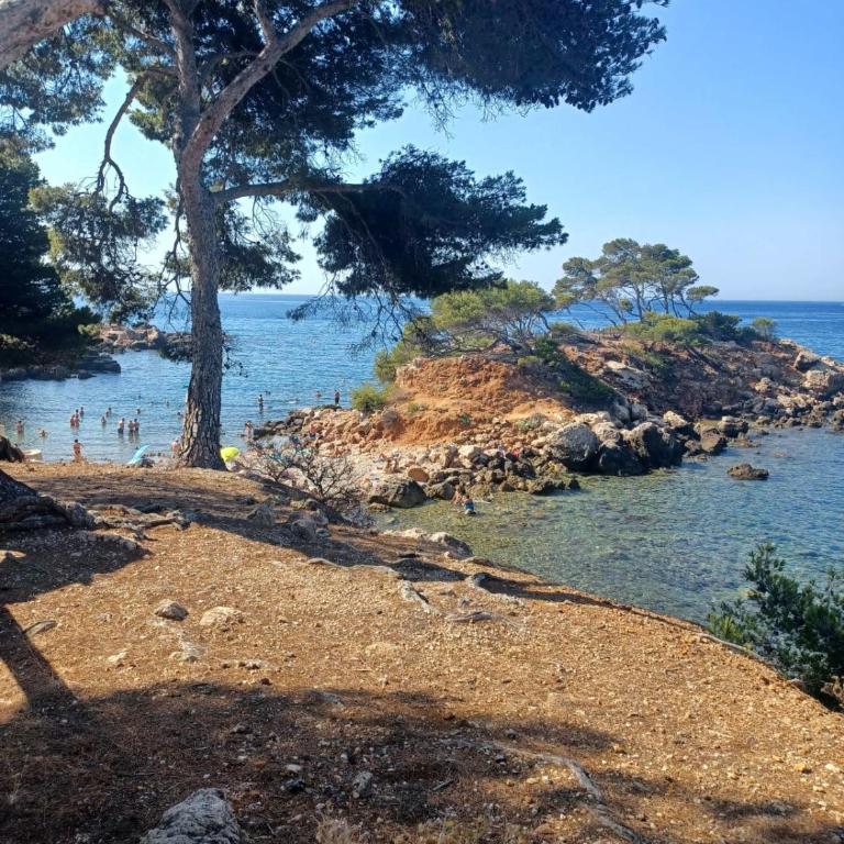 Flat with terrace in Sanary-sur-Mer - Studio - 14