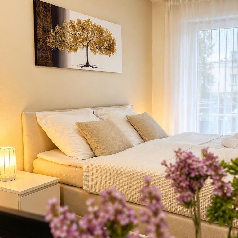 NOVA Living, Balkon, Nähe Altstadt & kostenlose Tiefgarage - Apartment mit 1 Schlafzimmer - 1