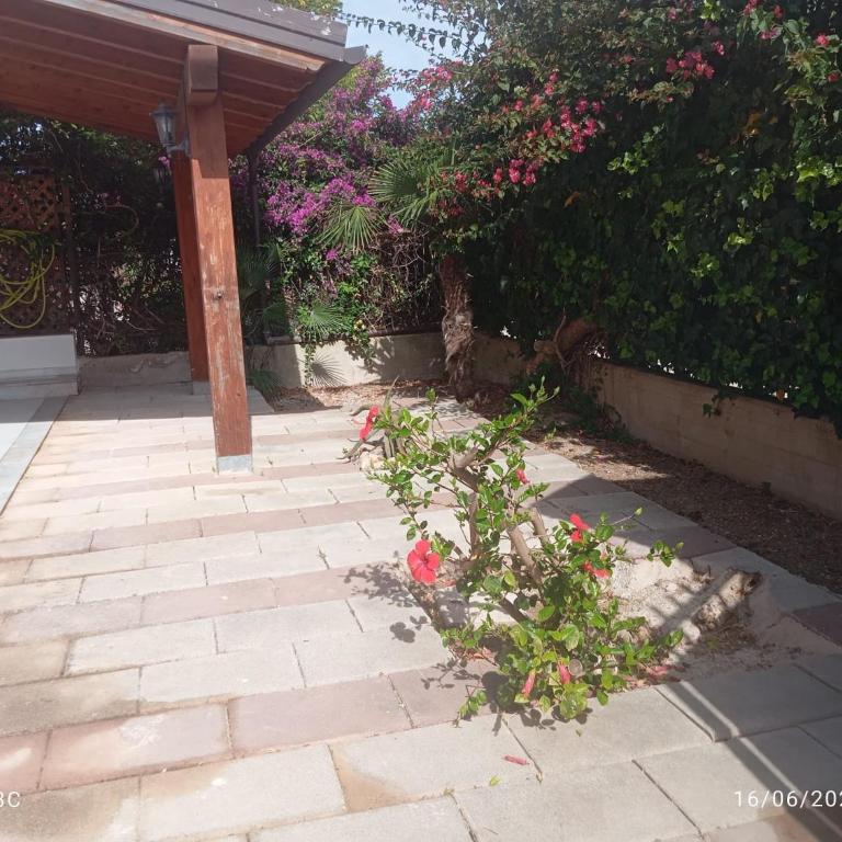 Villa dei Pini - Casa con 3 Camere da Letto - 1