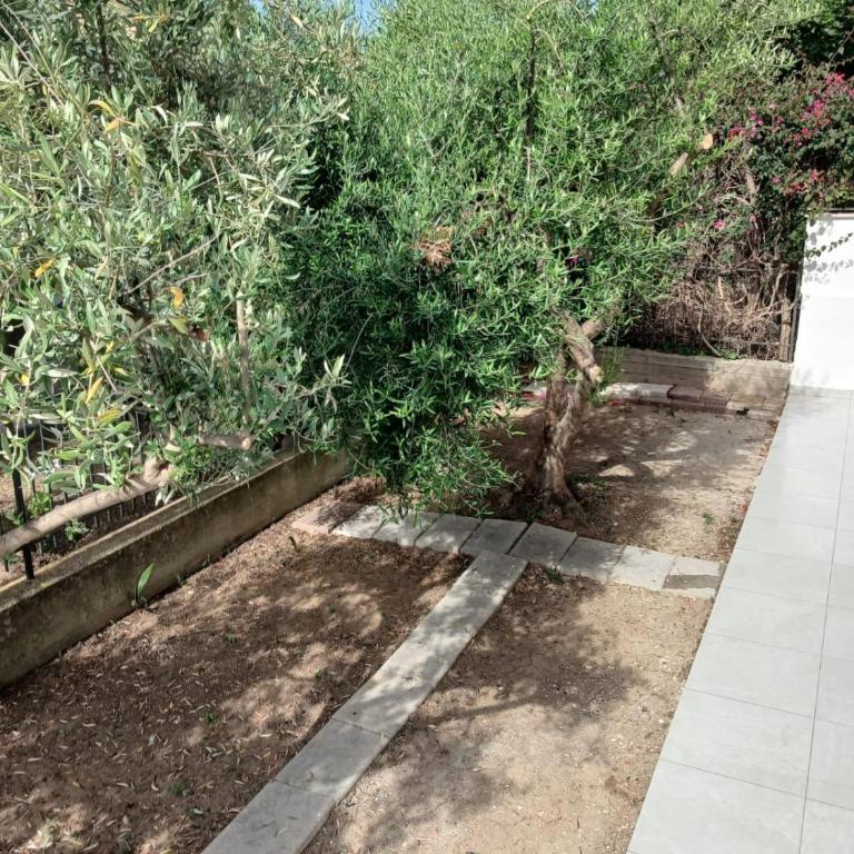 Villa dei Pini - Casa con 3 Camere da Letto - 2